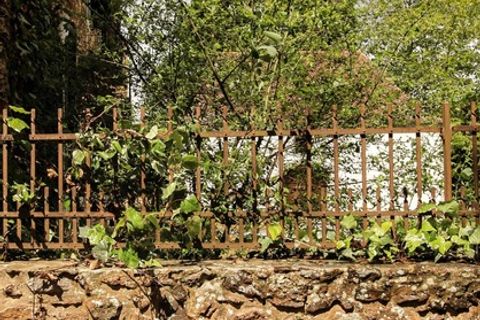Villa i Bonnut, Pyrenees-Atlantiques, Bonnut - € 787.000 | Ref: 830035236083 - foto 41