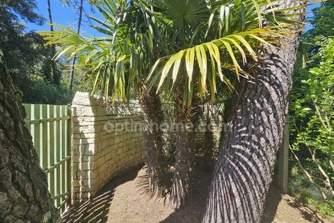 Villa a Rivedoux-Plage, Charente-Maritime, Rivedoux-Plage - € 465.000 | Ref: 830032048838 - foto 3