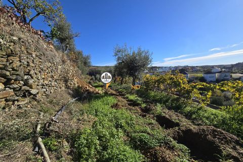 Villa i Castelo Branco, Castelo Branco, Castelo Branco - € 265.000 | Ref: 2935 - foto 3