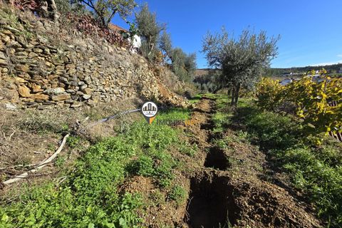 Villa i Castelo Branco, Castelo Branco, Castelo Branco - € 265.000 | Ref: 2935 - foto 9