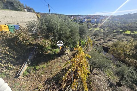 Villa i Castelo Branco, Castelo Branco, Castelo Branco - € 265.000 | Ref: 2935 - foto 35
