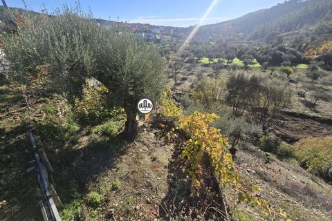 Villa i Castelo Branco, Castelo Branco, Castelo Branco - € 265.000 | Ref: 2935 - foto 36