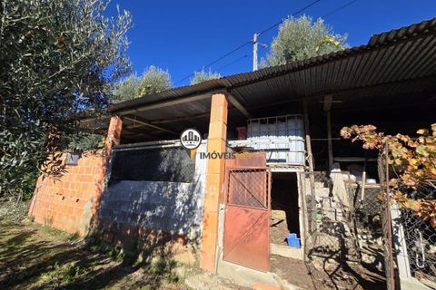 Villa i Castelo Branco, Castelo Branco, Castelo Branco - € 265.000 | Ref: 2935 - foto 37