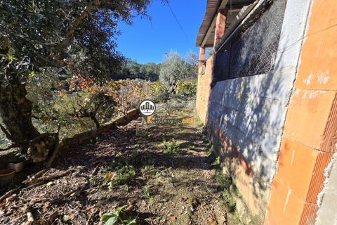 Villa i Castelo Branco, Castelo Branco, Castelo Branco - € 265.000 | Ref: 2935 - foto 42