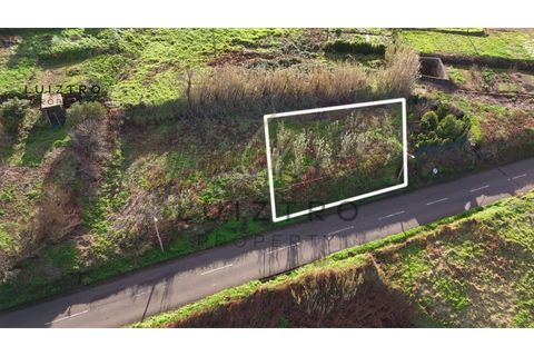 Terra a Ponta do Pargo, Madeira, Ponta do Pargo - € 98.000 | Ref: SÒL_96 - foto 13