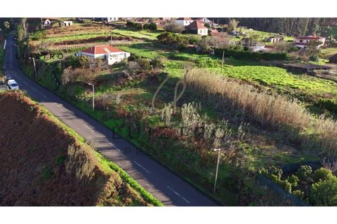 Terra a Ponta do Pargo, Madeira, Ponta do Pargo - € 98.000 | Ref: SÒL_96 - foto 15