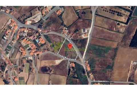 Helårsgrund i A dos Cunhados e Maceira, Lisbon, A dos Cunhados e Maceira - € 428.000 | Ref: 2157 - foto 12