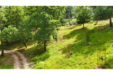 Farm i Alcobaca, Leiria, Alcobaca - € 850.000 | Ref: ALC_NR - foto 2