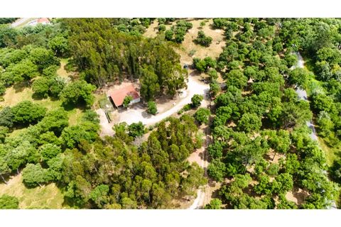Farm i Alcobaca, Leiria, Alcobaca - € 850.000 | Ref: ALC_NR - foto 3