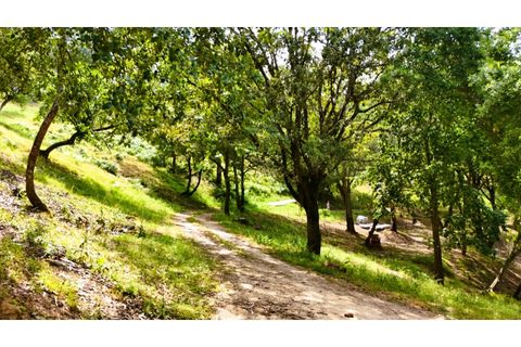 Farm i Alcobaca, Leiria, Alcobaca - € 850.000 | Ref: ALC_NR - foto 4