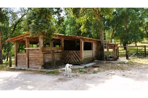 Farm i Alcobaca, Leiria, Alcobaca - € 850.000 | Ref: ALC_NR - foto 8