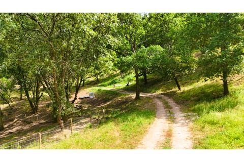 Farm i Alcobaca, Leiria, Alcobaca - € 850.000 | Ref: ALC_NR - foto 9