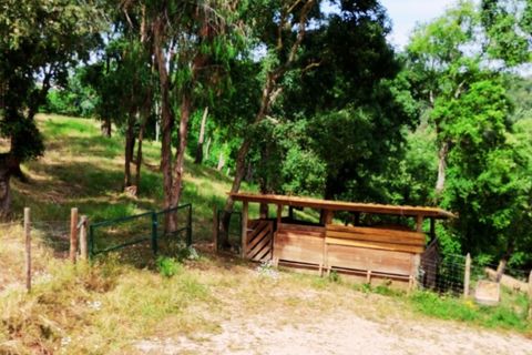 Farm i Alcobaca, Leiria, Alcobaca - € 850.000 | Ref: ALC_NR - foto 10