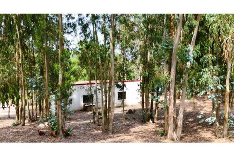Farm i Alcobaca, Leiria, Alcobaca - € 850.000 | Ref: ALC_NR - foto 13