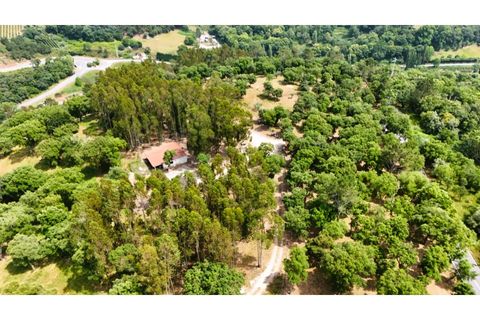 Farm i Alcobaca, Leiria, Alcobaca - € 850.000 | Ref: ALC_NR - foto 15