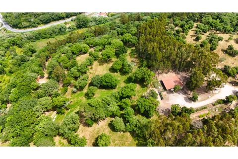 Farm i Alcobaca, Leiria, Alcobaca - € 850.000 | Ref: ALC_NR - foto 18