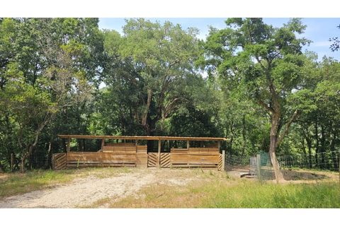 Farm i Alcobaca, Leiria, Alcobaca - € 850.000 | Ref: ALC_NR - foto 19