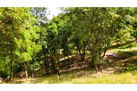 Farm i Alcobaca, Leiria, Alcobaca - € 850.000 | Ref: ALC_NR - foto 20
