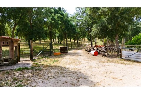 Farm i Alcobaca, Leiria, Alcobaca - € 850.000 | Ref: ALC_NR - foto 21