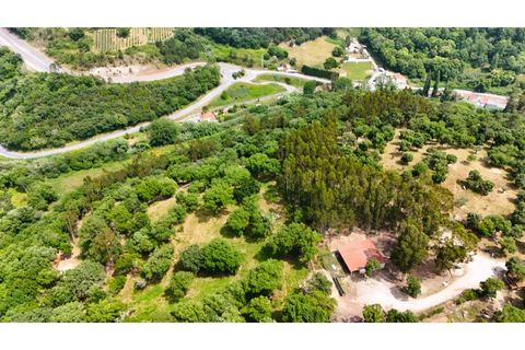 Farm i Alcobaca, Leiria, Alcobaca - € 850.000 | Ref: ALC_NR - foto 22