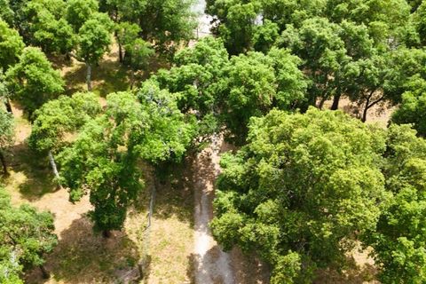Farm i Alcobaca, Leiria, Alcobaca - € 850.000 | Ref: ALC_NR - foto 23