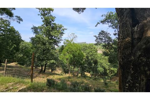 Farm i Alcobaca, Leiria, Alcobaca - € 850.000 | Ref: ALC_NR - foto 25