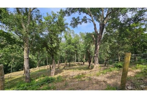 Farm i Alcobaca, Leiria, Alcobaca - € 850.000 | Ref: ALC_NR - foto 32
