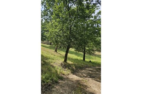 Farm i Alcobaca, Leiria, Alcobaca - € 850.000 | Ref: ALC_NR - foto 39