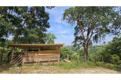 Farm i Alcobaca, Leiria, Alcobaca - € 850.000 | Ref: ALC_NR - foto 41