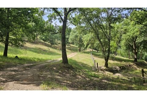 Farm i Alcobaca, Leiria, Alcobaca - € 850.000 | Ref: ALC_NR - foto 43