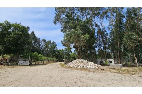 Farm i Alcobaca, Leiria, Alcobaca - € 850.000 | Ref: ALC_NR - foto 48
