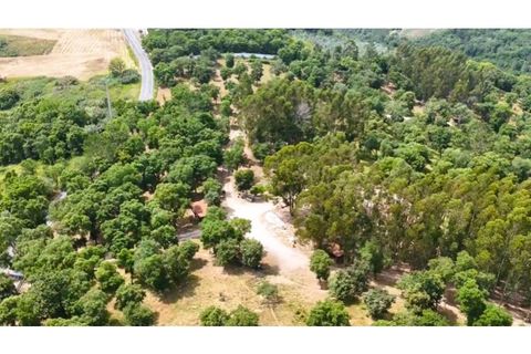 Farm i Alcobaca, Leiria, Alcobaca - € 850.000 | Ref: ALC_NR - foto 49