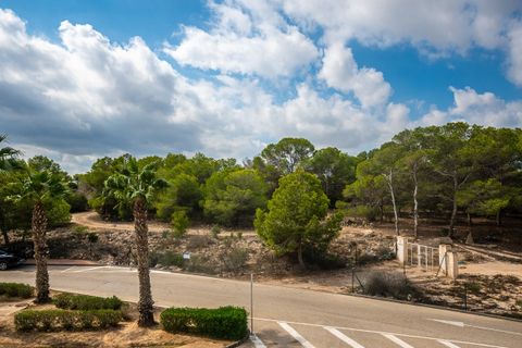Lejlighed i Algorfa, Alicante, Algorfa - € 229.000 | Ref: R5187133 - foto 20