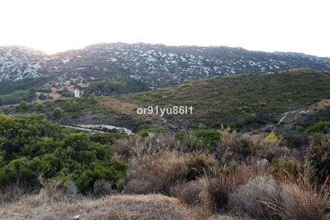 Finca i Casares, Malaga, Casares - € 1.400.000 | Ref: R4088860 - foto 11