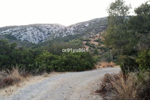 Finca i Casares, Malaga, Casares - € 1.400.000 | Ref: R4088860 - foto 13