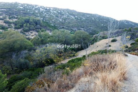 Finca i Casares, Malaga, Casares - € 1.400.000 | Ref: R4088860 - foto 14