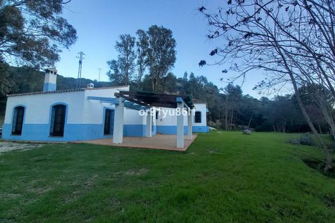 Finca i Casares, Malaga, Casares - € 1.400.000 | Ref: R4088860 - foto 15
