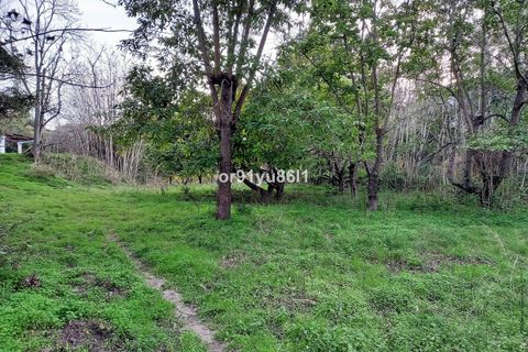 Finca i Casares, Malaga, Casares - € 1.400.000 | Ref: R4088860 - foto 18