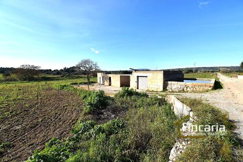 Landejendom i Manacor, Mallorca - foto 3