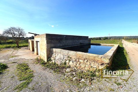 Landejendom i Manacor, Mallorca - foto 4