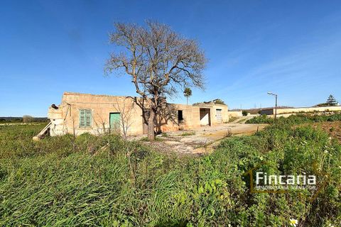 Landejendom i Manacor, Mallorca - foto 5