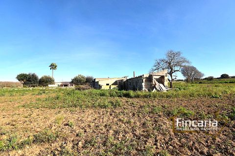 Landejendom i Manacor, Mallorca, Manacor - € 225.000 | Ref: FM-2066 - foto 6