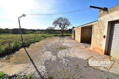 Landejendom i Manacor, Mallorca, Manacor - € 225.000 | Ref: FM-2066 - foto 7