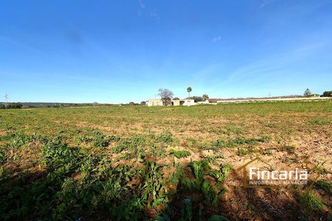 Landejendom i Manacor, Mallorca, Manacor - € 225.000 | Ref: FM-2066 - foto 8
