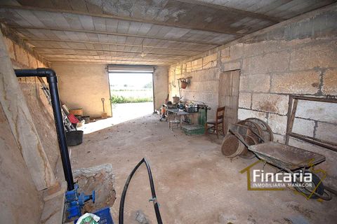 Landejendom i Manacor, Mallorca, Manacor - € 225.000 | Ref: FM-2066 - foto 12