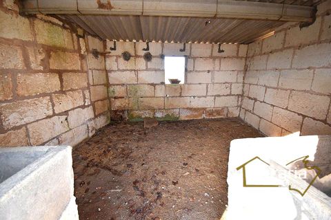 Landejendom i Manacor, Mallorca, Manacor - € 225.000 | Ref: FM-2066 - foto 16
