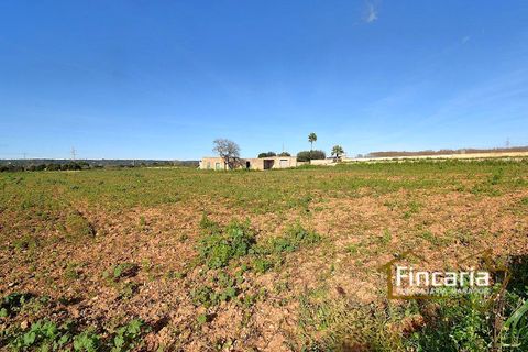 Landejendom i Manacor, Mallorca, Manacor - € 225.000 | Ref: FM-2066 - foto 17