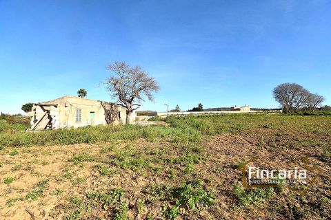 Landejendom i Manacor, Mallorca, Manacor - € 225.000 | Ref: FM-2066 - foto 18