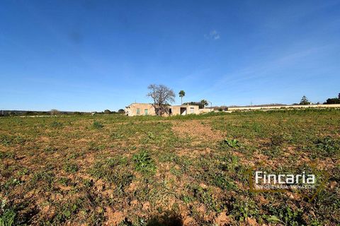 Landejendom i Manacor, Mallorca, Manacor - € 225.000 | Ref: FM-2066 - foto 19