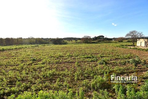 Landejendom i Manacor, Mallorca, Manacor - € 225.000 | Ref: FM-2066 - foto 20
